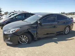 5NPE24AF7KH782538 2019 HYUNDAI SONATA