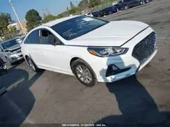 5NPE24AF7KH784239 2019 HYUNDAI SONATA