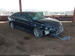 5NPE24AF7KH784807 2019 HYUNDAI SONATA