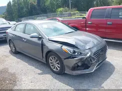 5NPE24AF7KH786329 2019 HYUNDAI SONATA