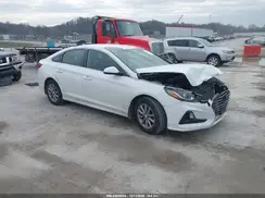 5NPE24AF7KH787660 2019 HYUNDAI SONATA
