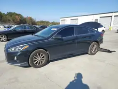 5NPE24AF7KH787755 2019 HYUNDAI SONATA