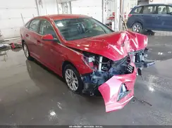 5NPE24AF7KH787786 2019 HYUNDAI SONATA