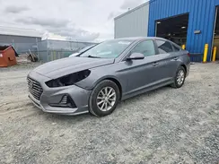 5NPE24AF7KH789666 2019 HYUNDAI SONATA