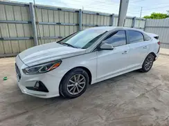 5NPE24AF7KH796262 2019 HYUNDAI SONATA