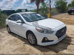 5NPE24AF7KH797606 2019 HYUNDAI SONATA