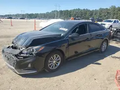 5NPE24AF7KH797671 2019 HYUNDAI SONATA
