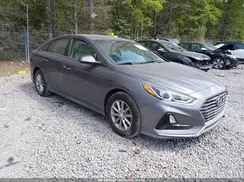 5NPE24AF7KH798044 2019 HYUNDAI SONATA