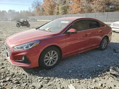 5NPE24AF7KH799761 2019 HYUNDAI SONATA