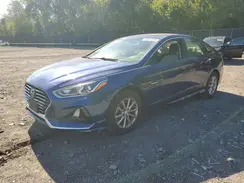 5NPE24AF7KH800097 2019 HYUNDAI SONATA