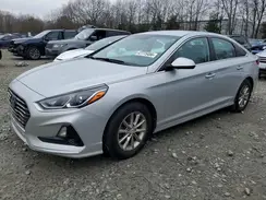 5NPE24AF7KH800830 2019 HYUNDAI SONATA