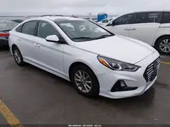 5NPE24AF7KH800844 2019 HYUNDAI SONATA