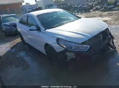 5NPE24AF7KH802304 2019 HYUNDAI SONATA