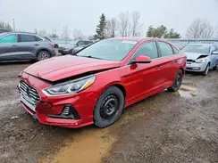 5NPE24AF7KH803033 2019 HYUNDAI SONATA