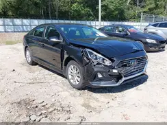 5NPE24AF7KH803176 2019 HYUNDAI SONATA