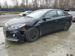 5NPE24AF7KH804392 2019 HYUNDAI SONATA