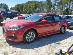 5NPE24AF7KH809513 2019 HYUNDAI SONATA