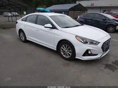 5NPE24AF7KH810922 2019 HYUNDAI SONATA