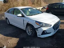 5NPE24AF7KH813514 2019 HYUNDAI SONATA