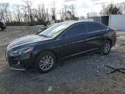 5NPE24AF7KH816901 2019 HYUNDAI SONATA