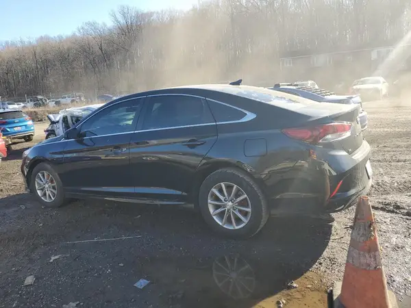 5NPE24AF7KH816901 2019 HYUNDAI SONATA - Image 2