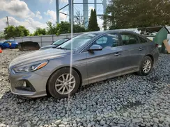 5NPE24AF7KH818941 2019 HYUNDAI SONATA
