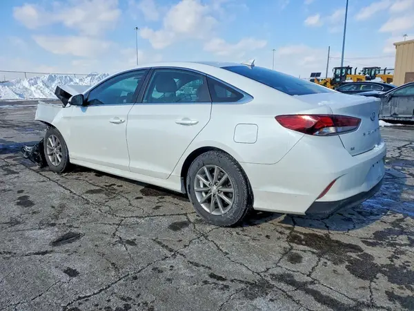 5NPE24AF7KH819569 2019 HYUNDAI SONATA - Image 2