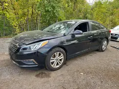 5NPE24AF8GH263859 2016 HYUNDAI SONATA