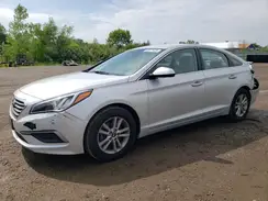 5NPE24AF8GH264266 2016 HYUNDAI SONATA