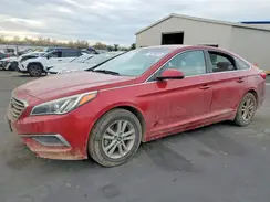 5NPE24AF8GH267636 2016 HYUNDAI SONATA
