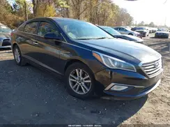 5NPE24AF8GH276613 2016 HYUNDAI SONATA