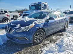 5NPE24AF8GH295422 2016 HYUNDAI SONATA
