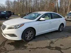 5NPE24AF8GH304040 2016 HYUNDAI SONATA