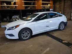 5NPE24AF8GH307570 2016 HYUNDAI SONATA