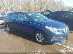 5NPE24AF8GH309772 2016 HYUNDAI SONATA