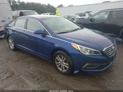 5NPE24AF8GH310209 2016 HYUNDAI SONATA