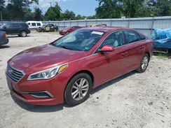 5NPE24AF8GH311702 2016 HYUNDAI SONATA