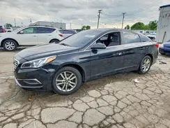 5NPE24AF8GH312607 2016 HYUNDAI SONATA
