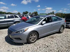 5NPE24AF8GH318097 2016 HYUNDAI SONATA
