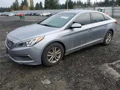 5NPE24AF8GH320741 2016 HYUNDAI SONATA