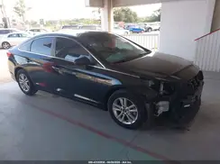 5NPE24AF8GH321596 2016 HYUNDAI SONATA