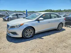5NPE24AF8GH322750 2016 HYUNDAI SONATA