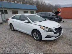 5NPE24AF8GH323607 2016 HYUNDAI SONATA