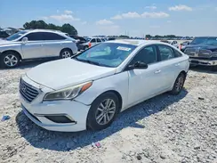 5NPE24AF8GH335000 2016 HYUNDAI SONATA