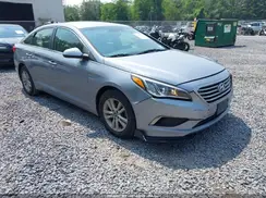 5NPE24AF8GH335479 2016 HYUNDAI SONATA