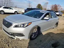 5NPE24AF8GH337023 2016 HYUNDAI SONATA