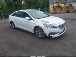 5NPE24AF8GH337992 2016 HYUNDAI SONATA