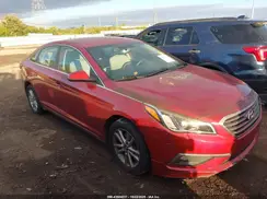 5NPE24AF8GH339404 2016 HYUNDAI SONATA