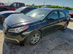 5NPE24AF8GH346529 2016 HYUNDAI SONATA