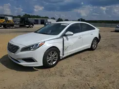 5NPE24AF8GH355294 2016 HYUNDAI SONATA